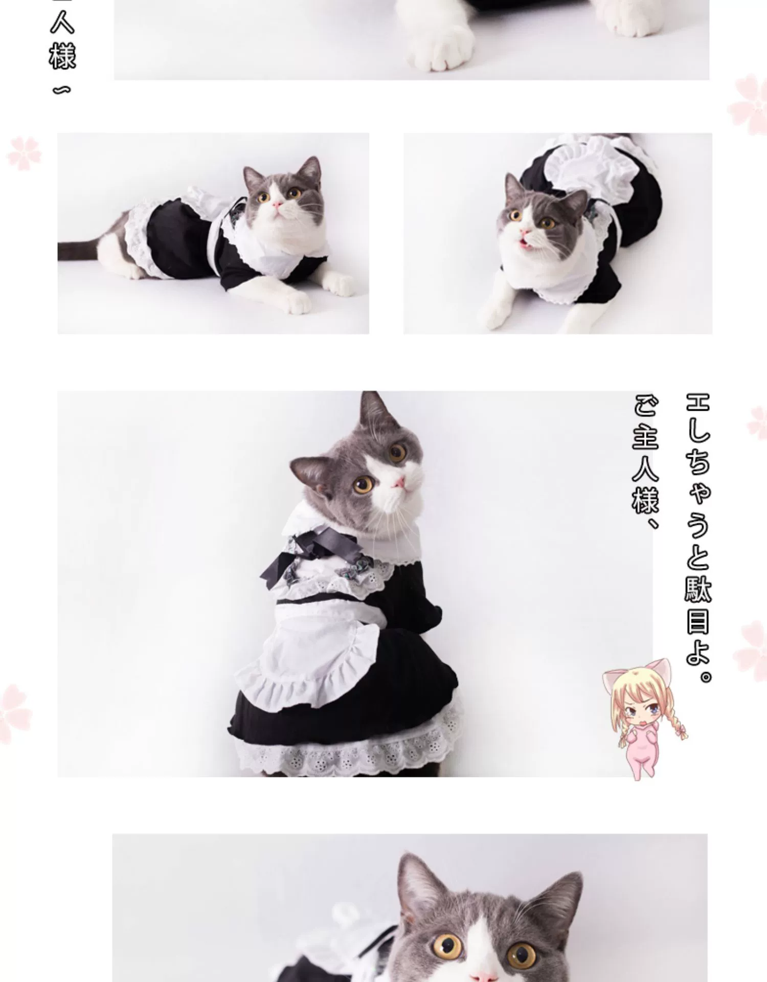 装扮猫咪游戏_装扮猫女_名门猫咪装扮套装