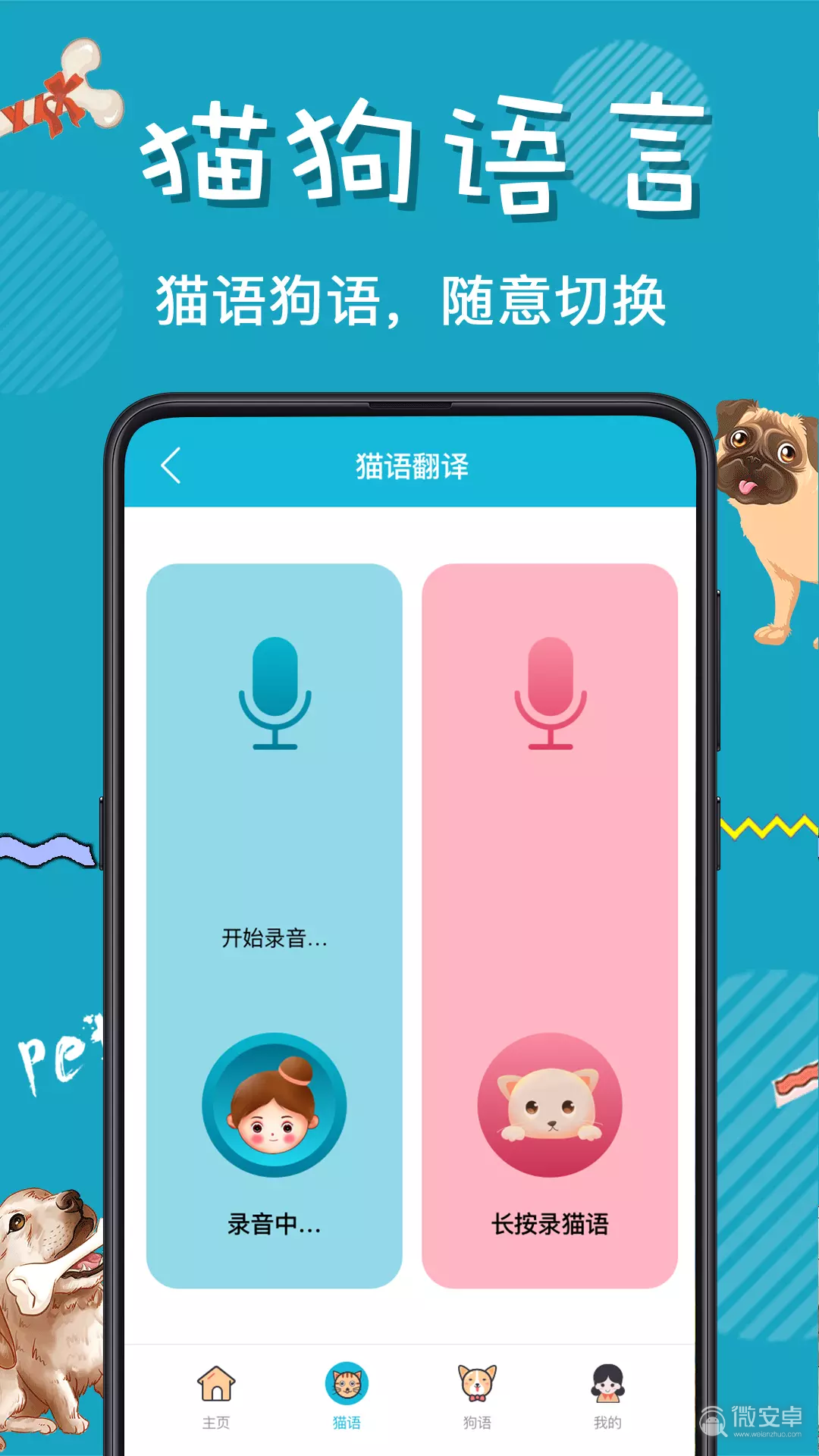 小猫翻译器模拟器_小猫说话翻译器_小猫翻译器