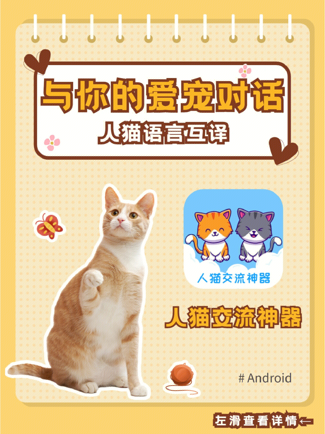 小猫翻译器模拟器_小猫翻译器_小猫说话翻译器
