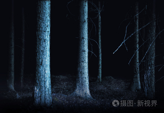 夜雀_夜雀_夜雀食堂
