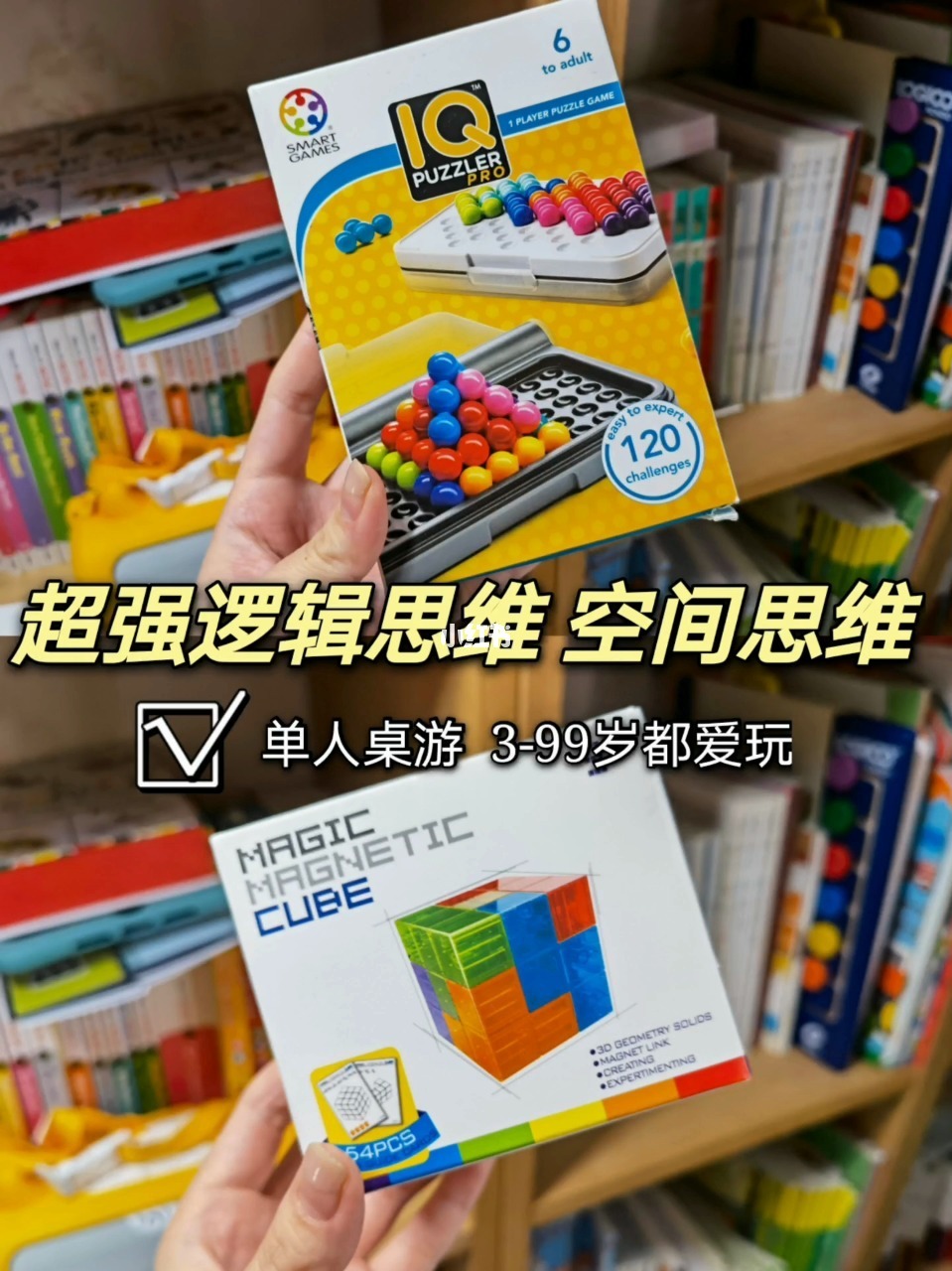 逻辑猫为什么叫逻辑猫_逻辑猫和暹罗猫_逻辑猫