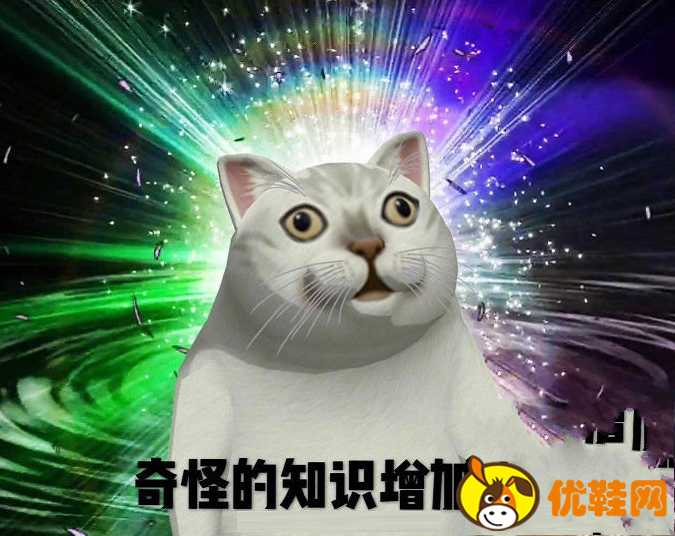 逻辑猫_逻辑猫和暹罗猫_逻辑猫为什么叫逻辑猫