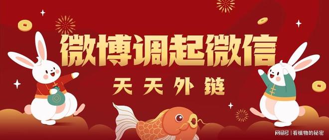 新浪微博收藏在哪里_新浪收藏微博在哪里_新浪微博收藏的文章在哪里看