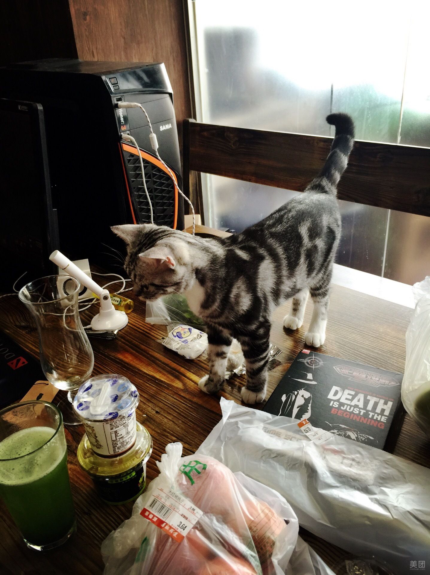 喵子小屋有什么好看的_喵子小屋cat_喵子小屋