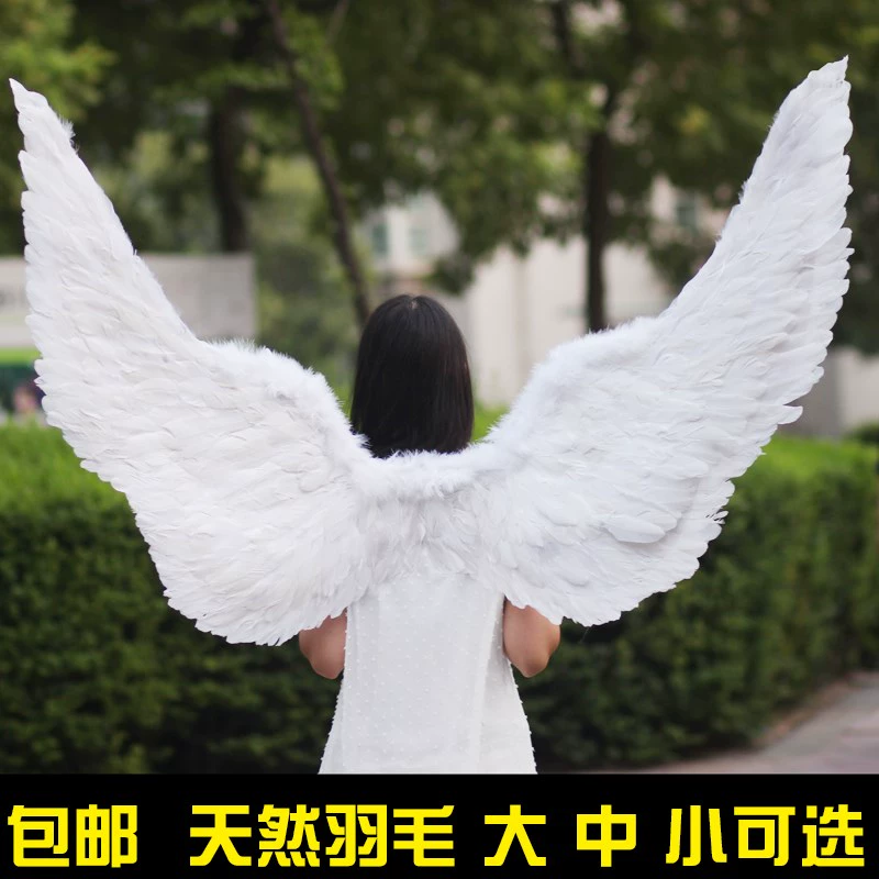 雌火龙的逆鳞_雌火龙在哪个区_雌火龙