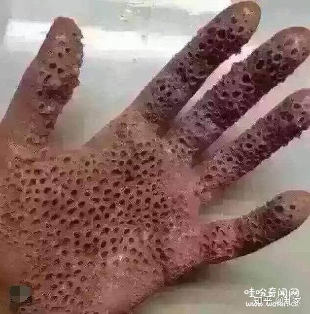 恐鬼症手机版免费下载_恐鬼症官方正版下载_恐鬼症手机版下载
