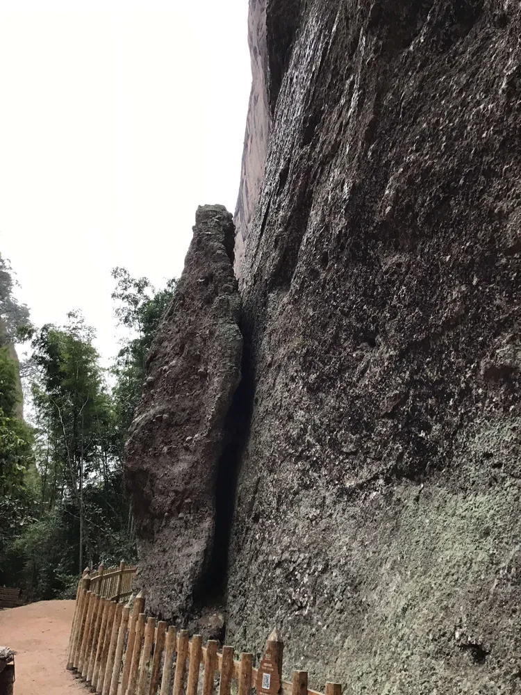 母岩_岩母堇_岩母漆