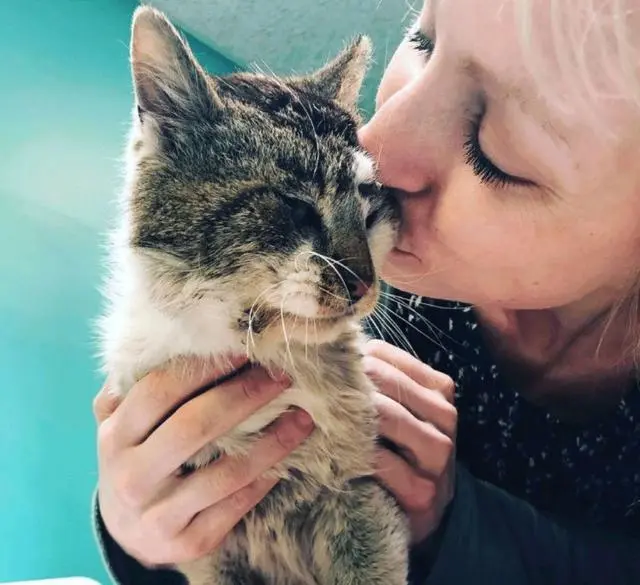 汤姆猫说话下载_汤姆猫说话搞笑视频_说话的汤姆猫