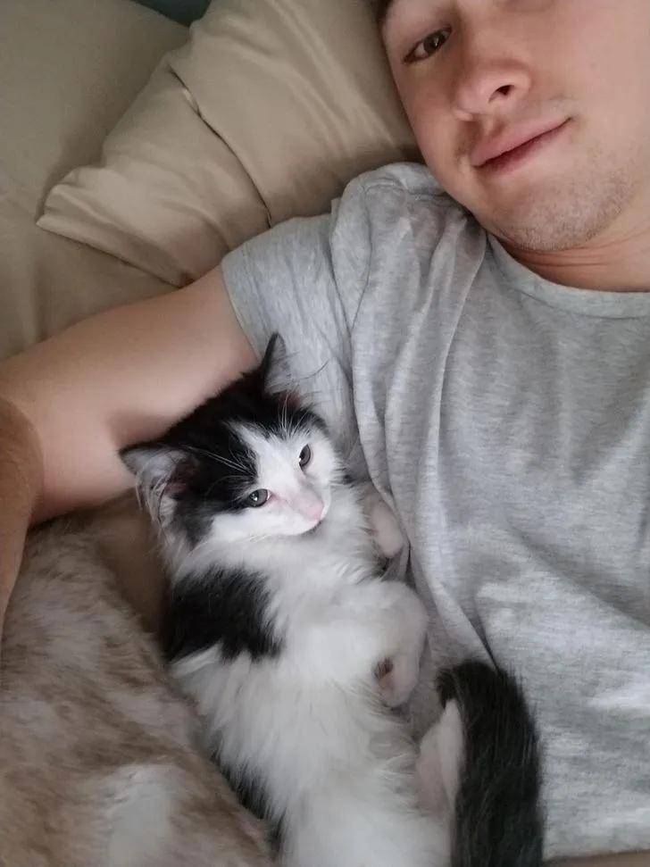 汤姆猫说话搞笑视频_说话的汤姆猫_汤姆猫说话下载