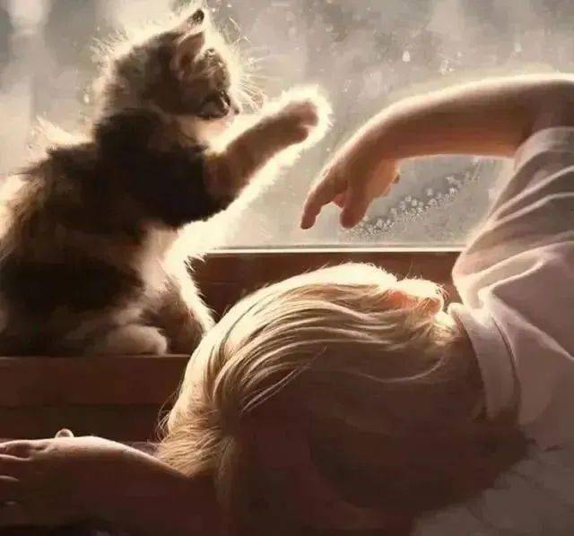 汤姆猫说话搞笑视频_汤姆猫说话下载_说话的汤姆猫