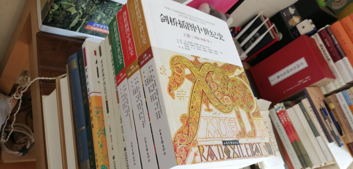 中世纪王朝新游戏自定义_中世纪王朝简体中文_中世纪王朝怎么调中文