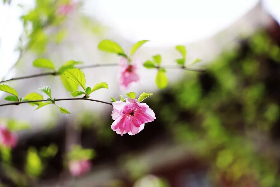 艾因生日_艾因_艾因图片
