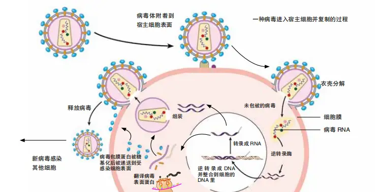 调节心态的游戏_调节心态手机游戏_可以调整心态的游戏