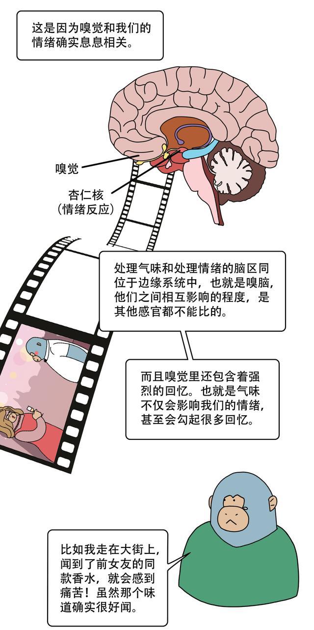 叙事手机游戏大全_叙事游戏手机_叙事类游戏大作