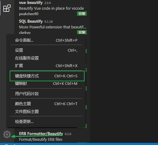 插件安装教程_vscode插件安装_插件安装成功还是无法显示