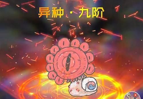 手机抓乌龟游戏_手机抓乌龟游戏_手机抓乌龟游戏