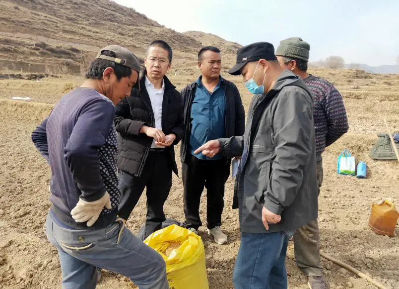 牧农物语攻略cg图下载_牧农物语_牧农物语cg