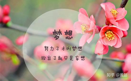 彩子_彩子白_彩子的图片