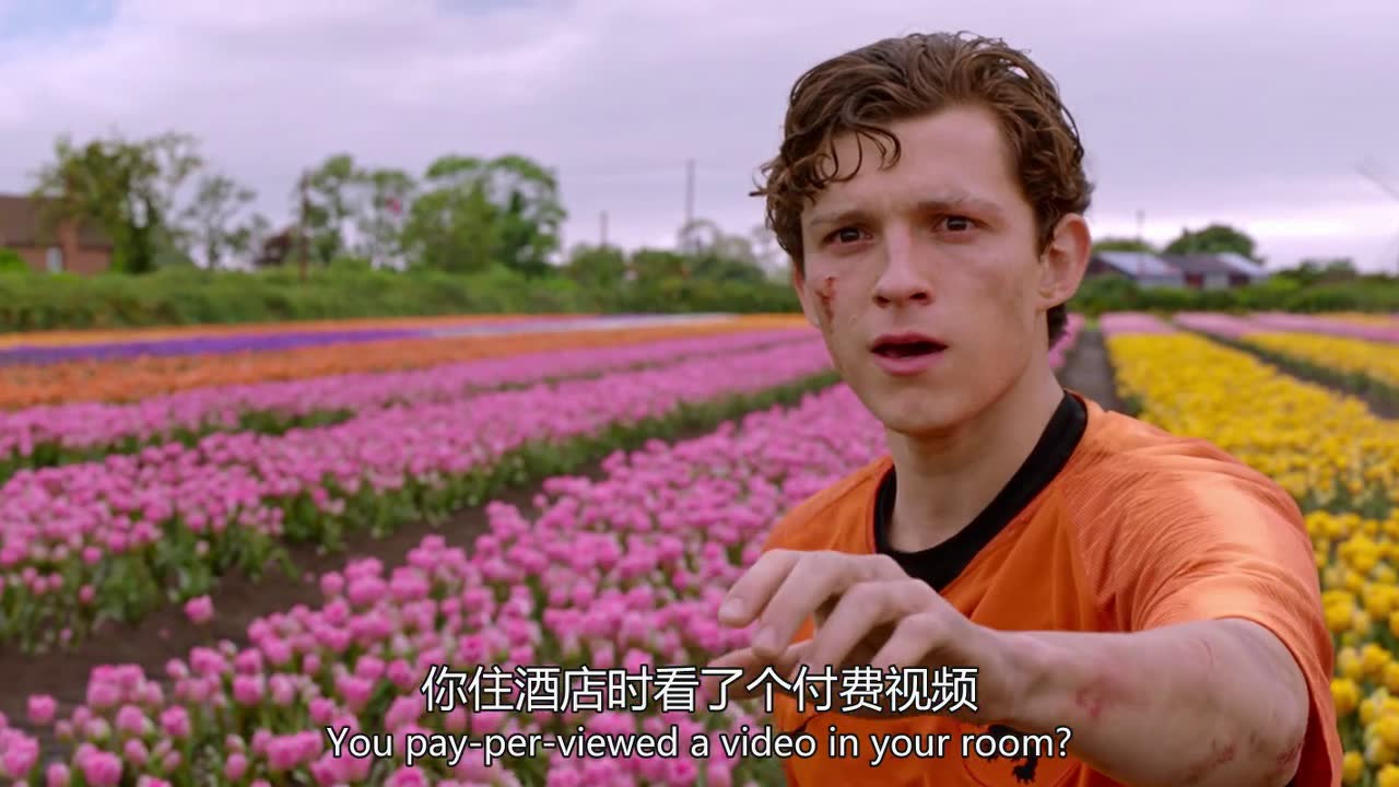 蛛蜘蛛侠英雄远征_蛛蜘侠英雄远征下载_2019版《蜘蛛侠：英雄远征》