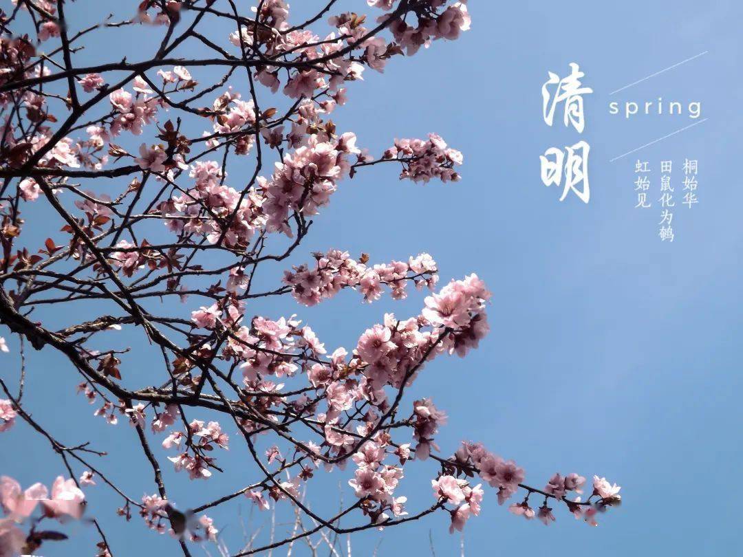 下雨清明节的日记_清明节为什么下雨_下雨清明节祭拜祖先的氛围