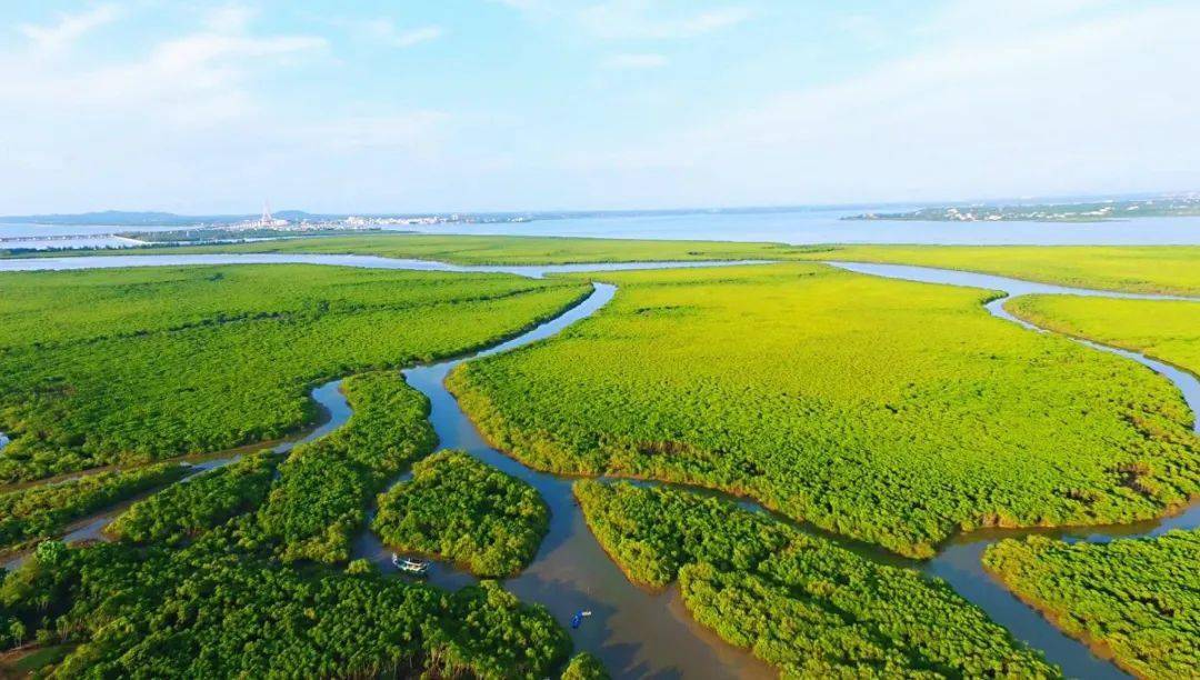 寂静2在线观看完整_电影寂静之地高清免费观看_寂静之地1在线观看免费播放