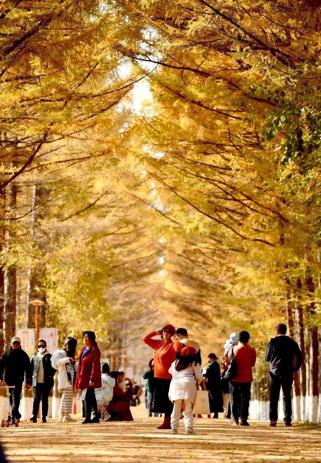 月日年还是日月年_德国日期怎么看日月年_2022年10月15日