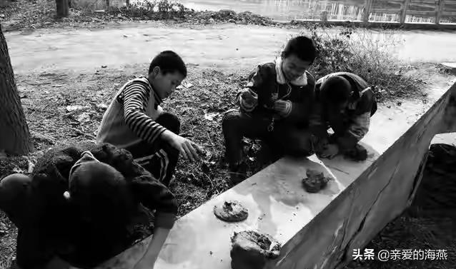 二刺螈_刺螈是什么动物_刺螈图片