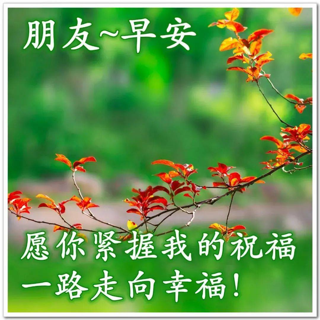 东城绫_东城绫_东城绫