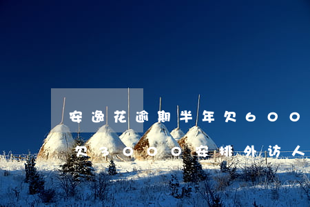 下载安逸花_安逸花下载官方版_安逸花下载地址