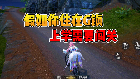 手机喂鸡游戏_新手机如何玩吃鸡游戏视频_小鸡玩游戏的视频