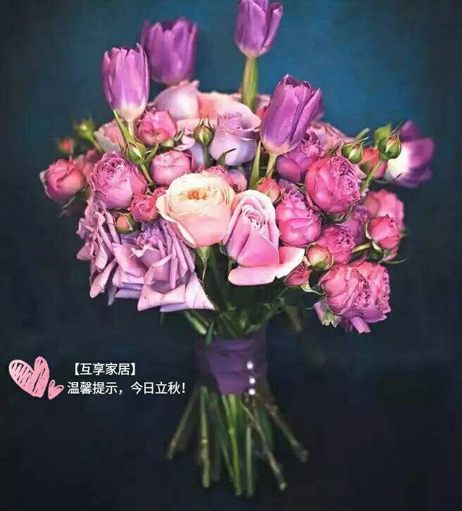 惠方卷_惠方卷_惠卷卷