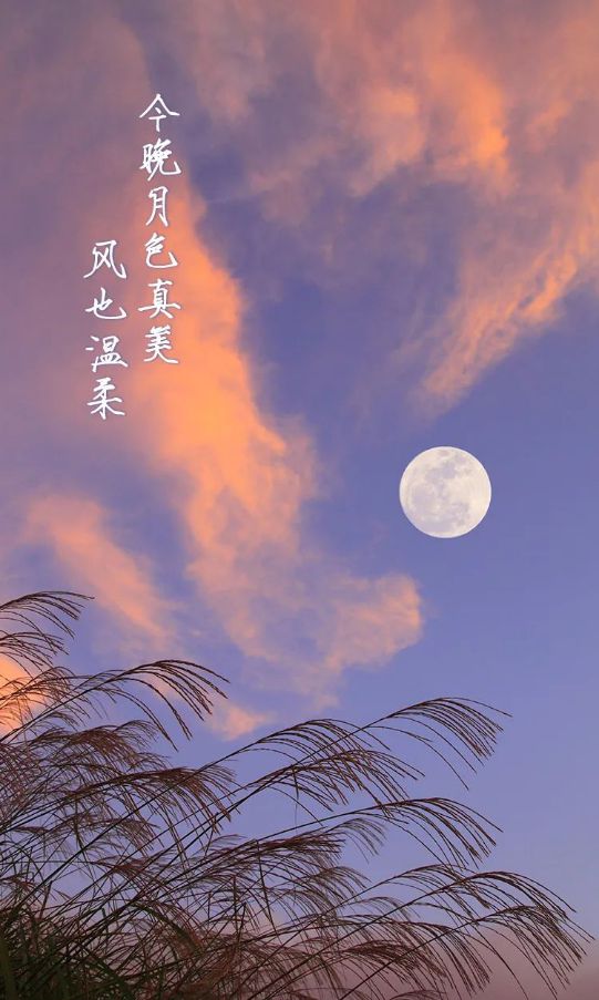 手机壁纸虎_雅虎游戏手机壁纸_壁纸游戏库