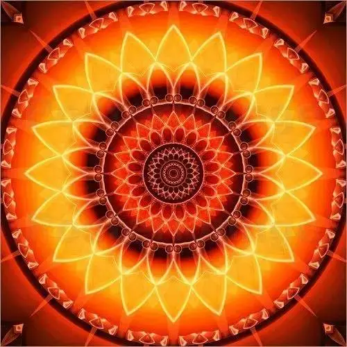 《造物法则》_造物法则sr_造物法则