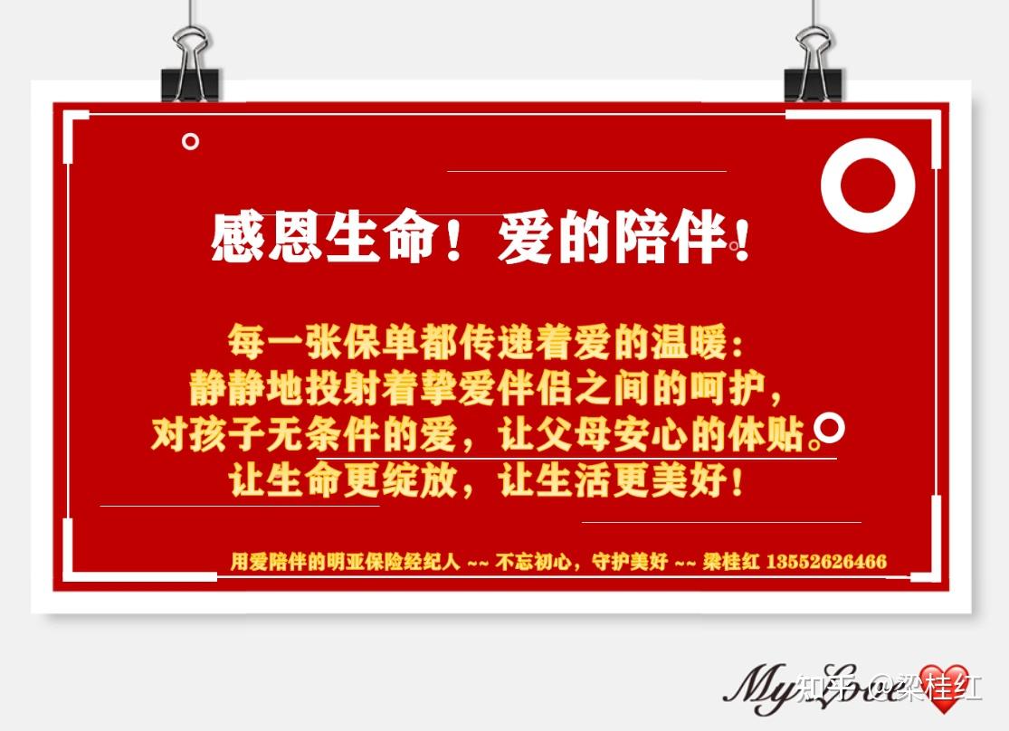 《造物法则》_造物法则sr_造物法则
