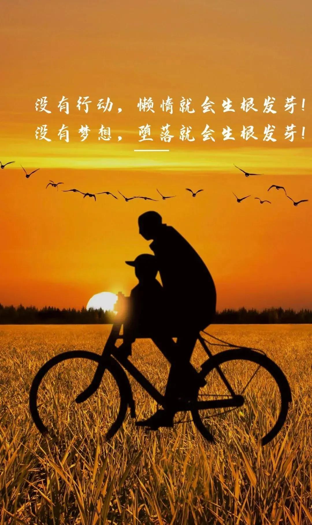中山阳菜_中山市菜篮子信息发布平台_中山菜丁