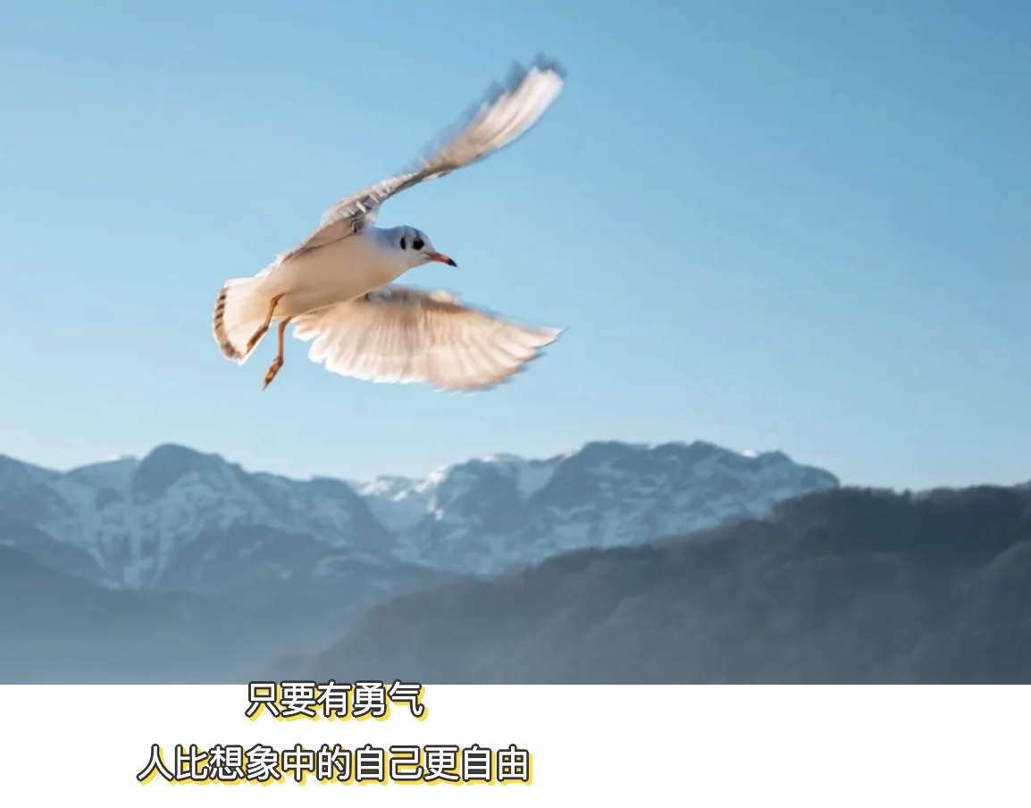 伟大的自由-自由:生活的态度、心灵的解放,让我们勇敢前行的动力