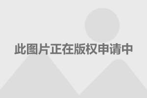 特朗普手机里的游戏_特朗普手机游戏里叫什么_特朗普手机游戏里是什么