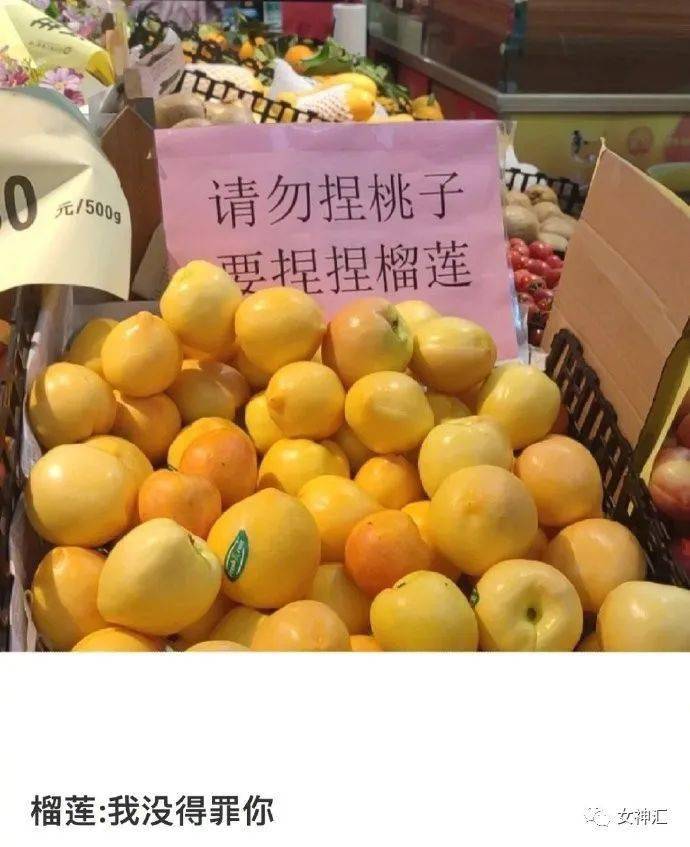 手机聚游游戏平台_小聚子手机游戏_聚子手机游戏小程序在哪