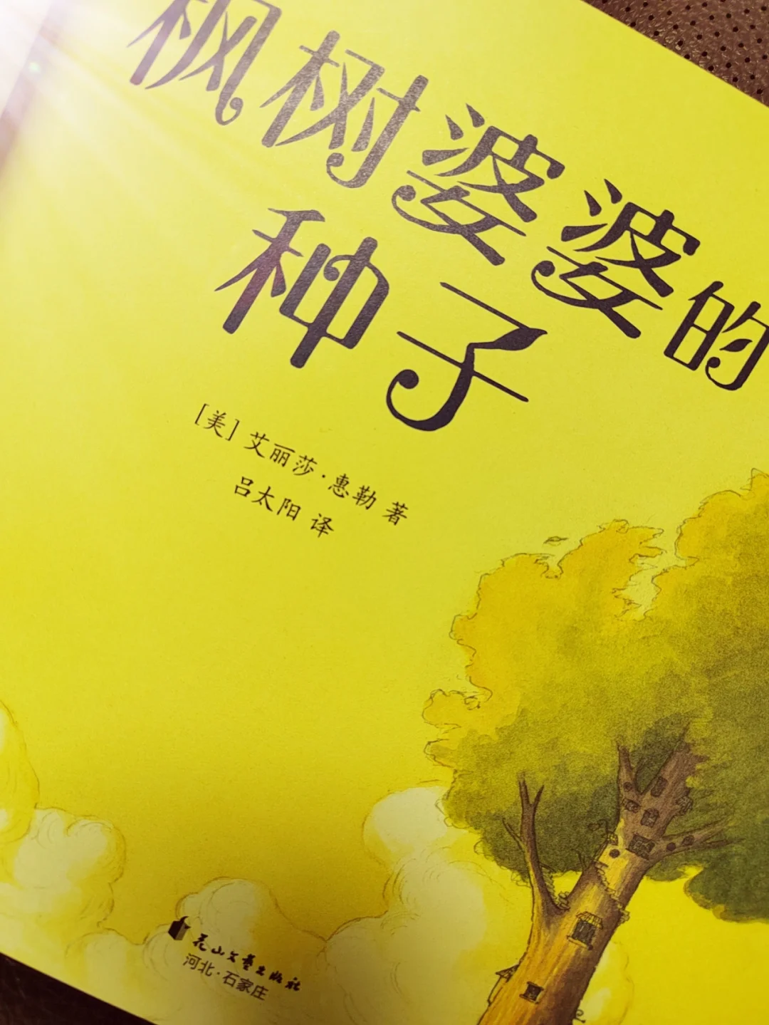 乔苓图片_乔苓头像_乔苓