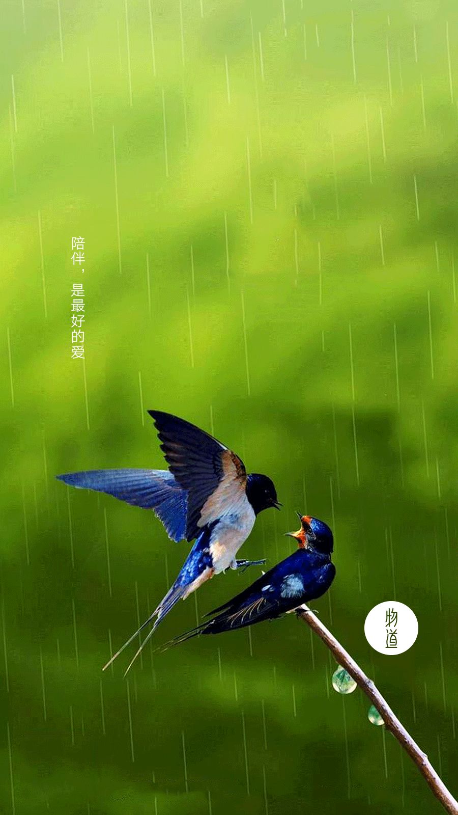 情人节是多少号_你知道情人节几号_情人节表示什么意思
