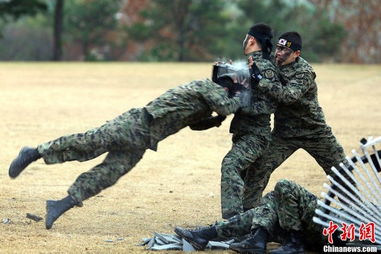 韩国特种兵,韩国特种兵简介