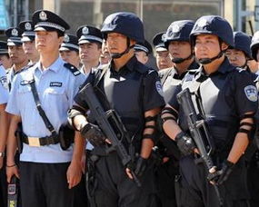 这就是警察2警员资料,这就是警察2警员简介