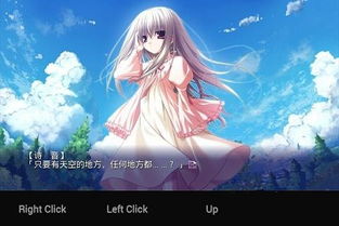 ONS游戏妻,什么是ONS游戏