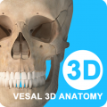 维萨里3D解剖安卓版 维萨里3D解剖安卓版