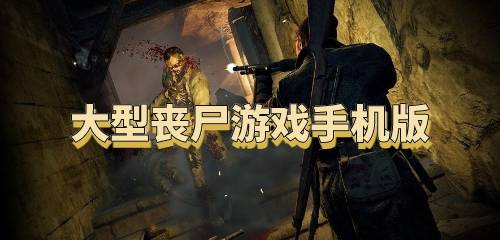 美版丧尸游戏,生存与恐惧的极致体验