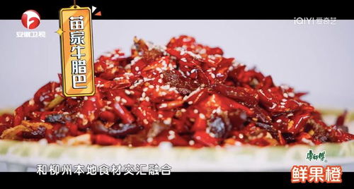 柳州本土游戏,传承与创新的文化瑰宝
