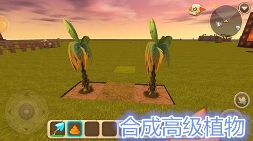 龙血树游戏,龙血树的历史与文化