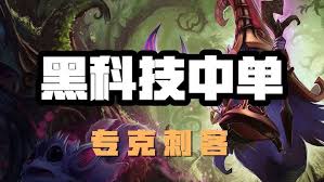 璐璐游戏解说,不止是辅助