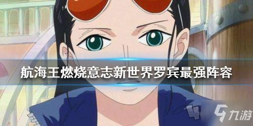 罗宾污游戏
