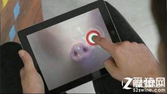 ipad猪游戏,趣味横生的互动体验